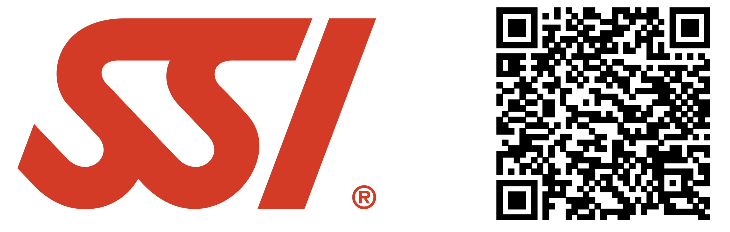 SSI Logo